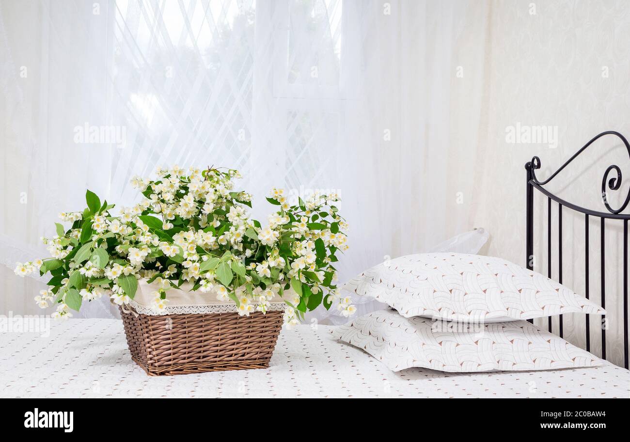 Jasmin blüht im Korb auf dem Bett Stockfoto