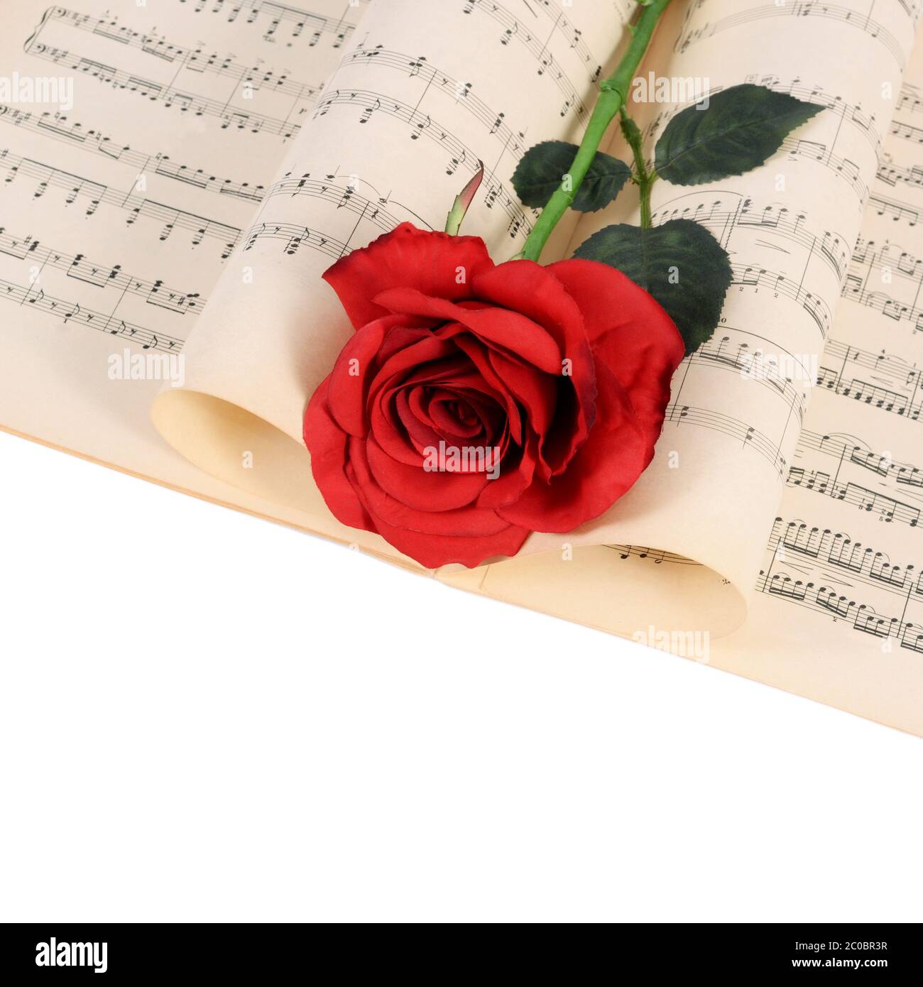 Die Rose auf Notebooks mit Noten Stockfoto