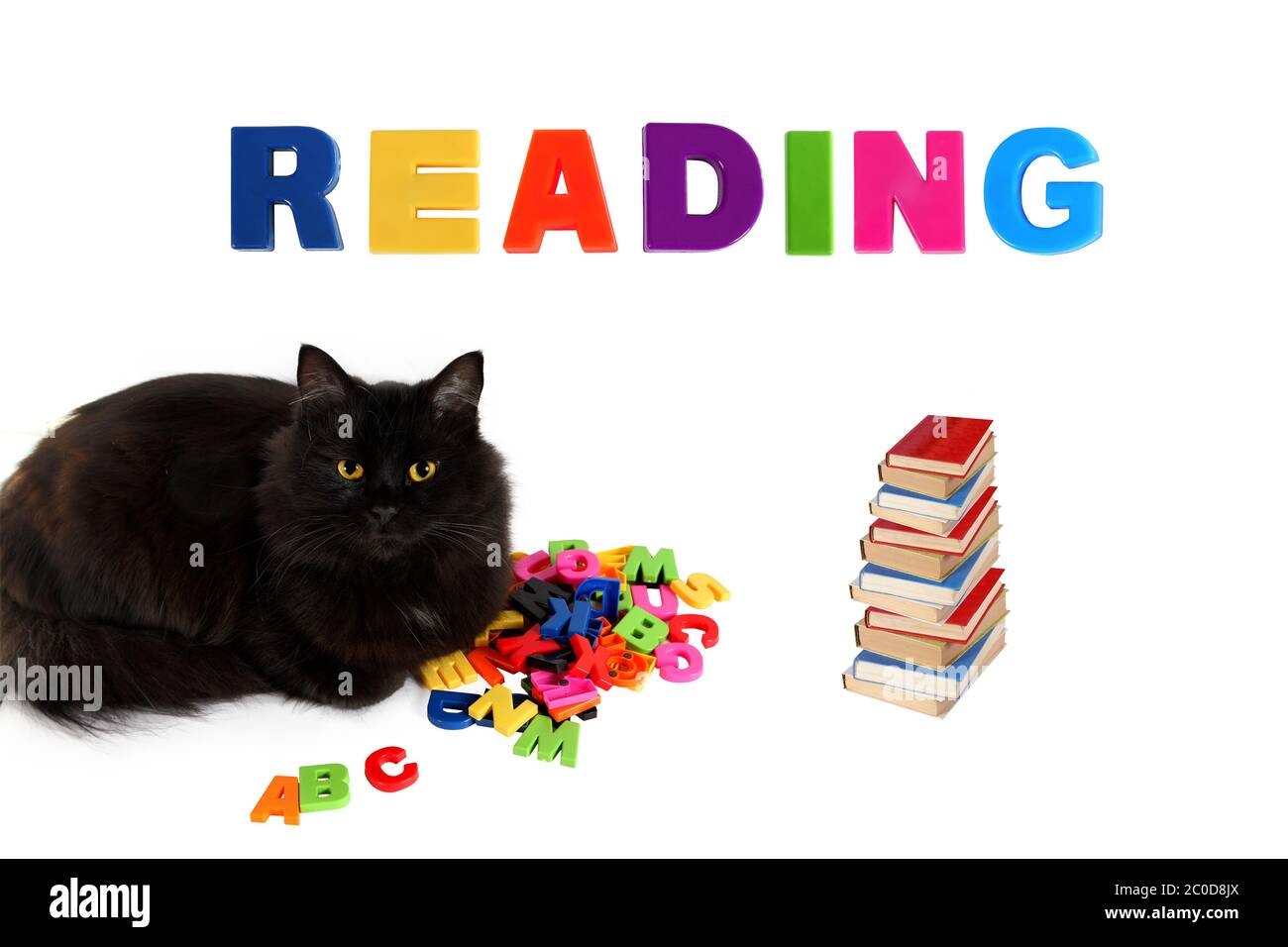 Alphabet und schwarze Katze mit Büchern auf weißem Hintergrund. Stockfoto