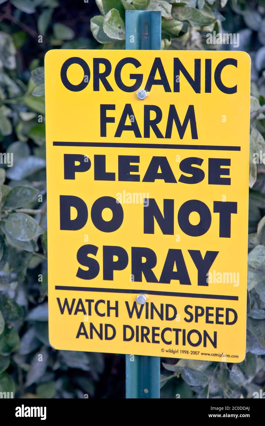 Ausgeschildertes Schild bei Orange Orchard, 'BITTE NICHT SPRÜHEN - BEOBACHTEN WINDGESCHWINDIGKEIT UND RICHTUNG', Bio Zitrusgarten, Kalifornien. Stockfoto