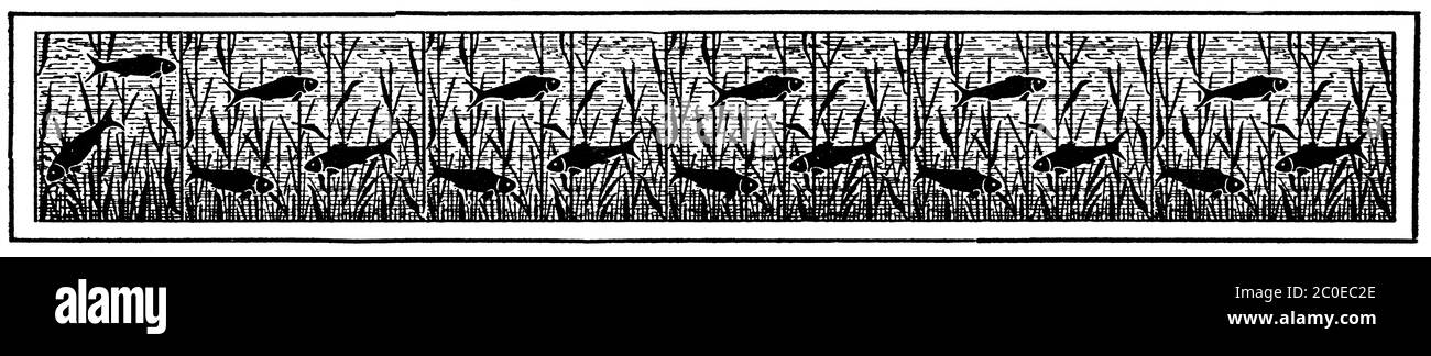 Abstraktes aquatisches Blumenarnament mit Fischen. Trennzeichen von Kapiteln in einem Buch. Illustration des 19. Jahrhunderts. Weißer Hintergrund. Stockfoto