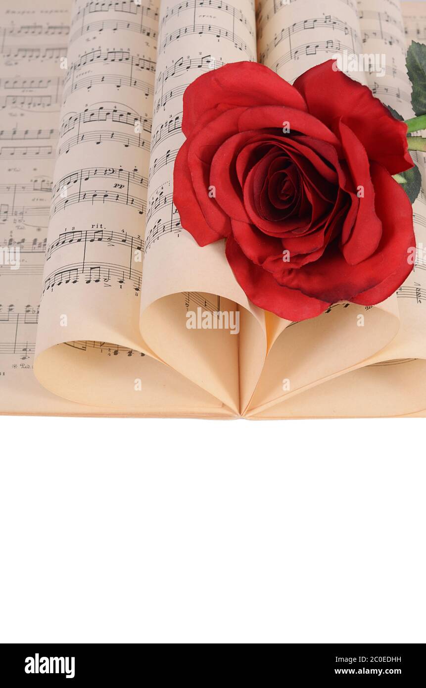 Die Rose auf Notebooks mit Noten Stockfoto