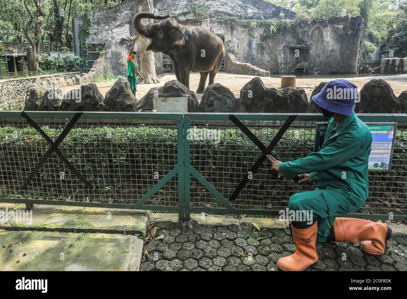 South Jakarta, Indonesien. Juni 2020. Ein Mitarbeiter installiert Warnschilder für Sicherheitsvorkehrungen im Park. Der Ragunan Wildlife Park (TMR) wird nach dem Schließen der Tierschutzprogramme für die Öffentlichkeit mit einer maximalen Anzahl von 1,000 Personen pro Tag wieder geöffnet, um die Ausbreitung des Coronavirus zu unterdrücken (covid-19). Kredit: SOPA Images Limited/Alamy Live Nachrichten Stockfoto