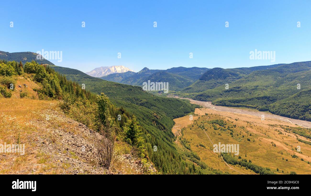 Blick auf Mount St. Helens und North Fork Toutle River Valley vom Aussichtspunkt an sonnigen Sommertagen, Washington State, USA Stockfoto