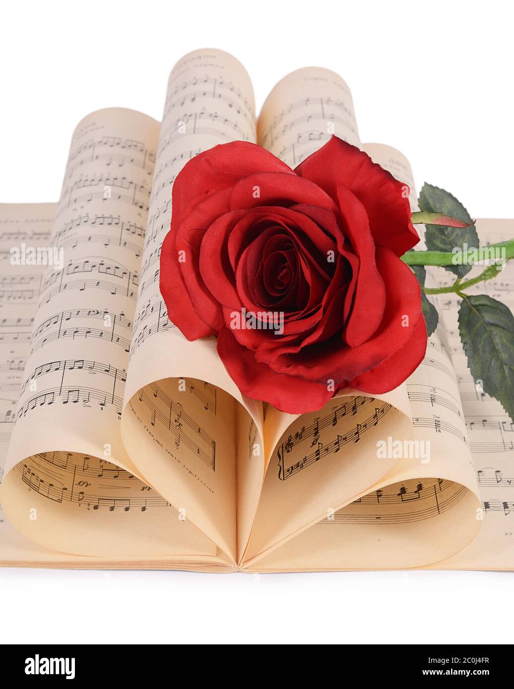 Die Rose auf Notebooks mit Noten Stockfoto