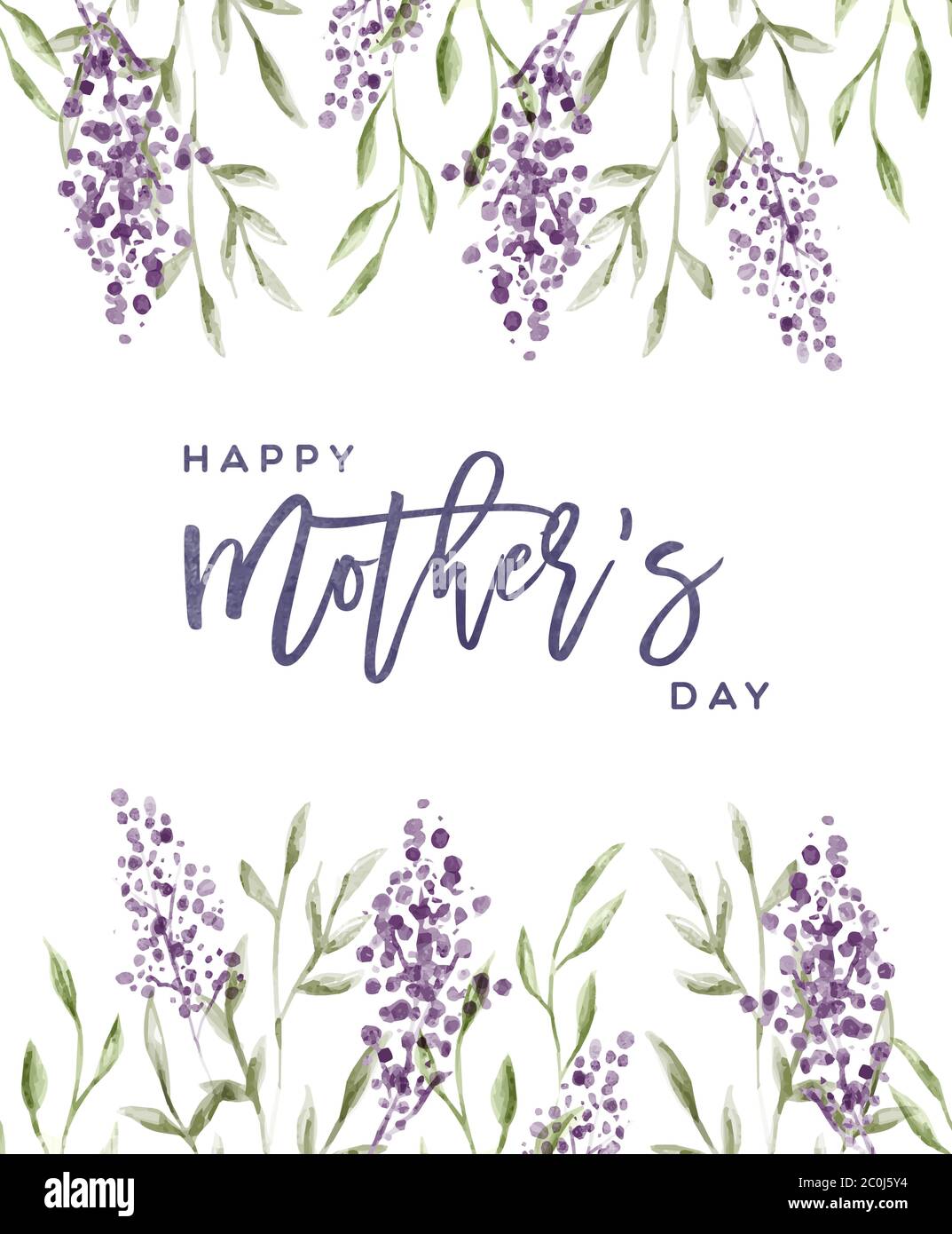 Lawendel Fotos und Bildmaterial in hoher Auflösung Alamy