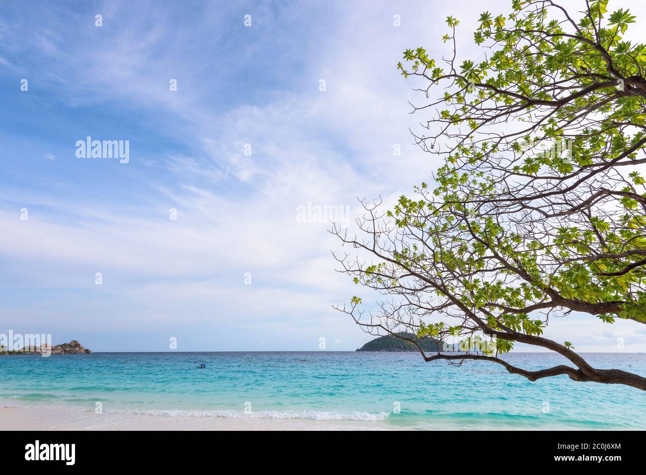 Schöne Landschaft Himmel und blaues Meer unter einem grünen Baum am Strand von Koh Miang Insel ist ein Sehenswürdigkeiten berühmt für das Tauchen in Mu Ko Stockfoto