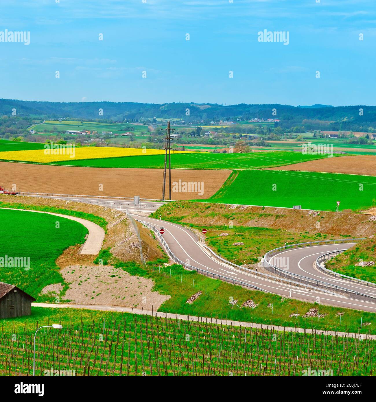 Grüne Felder Stockfoto