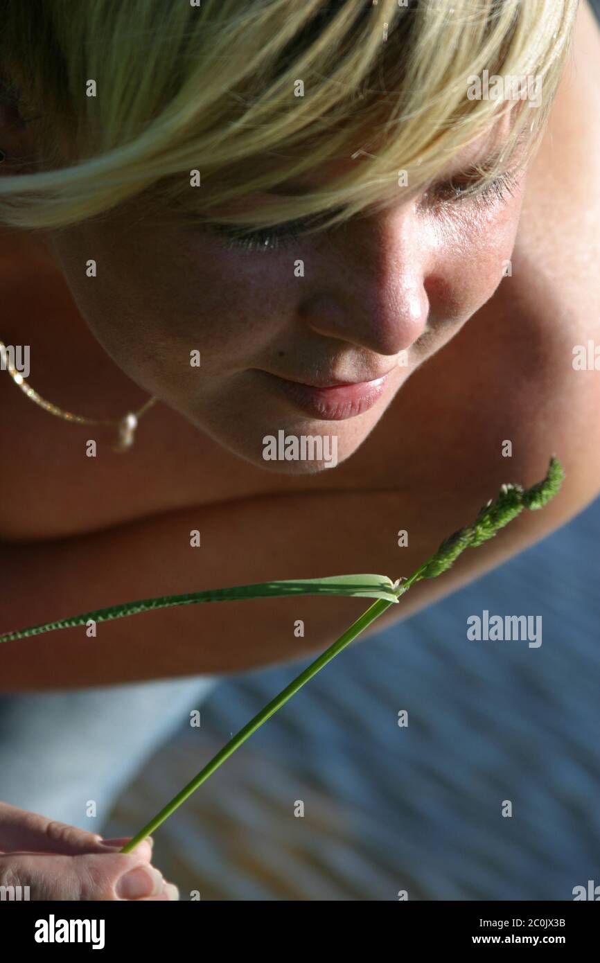 Sommerlaune Stockfoto