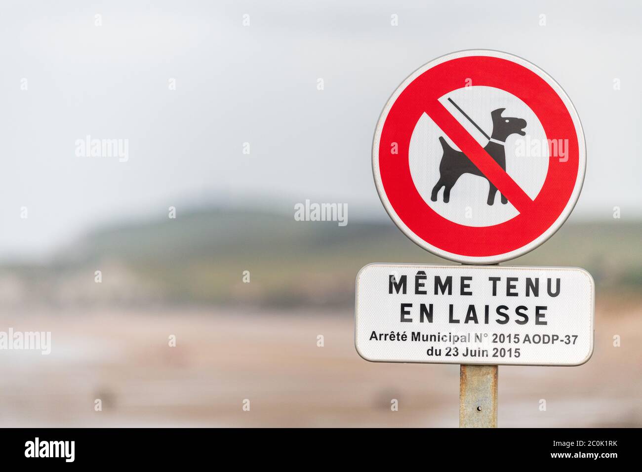 Hundeverbot Schild an einem Strand in Frankreich Stockfoto