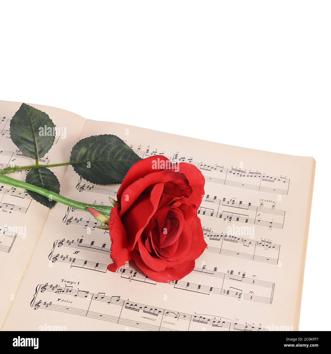 Die Rose auf Notebooks mit Noten Stockfoto