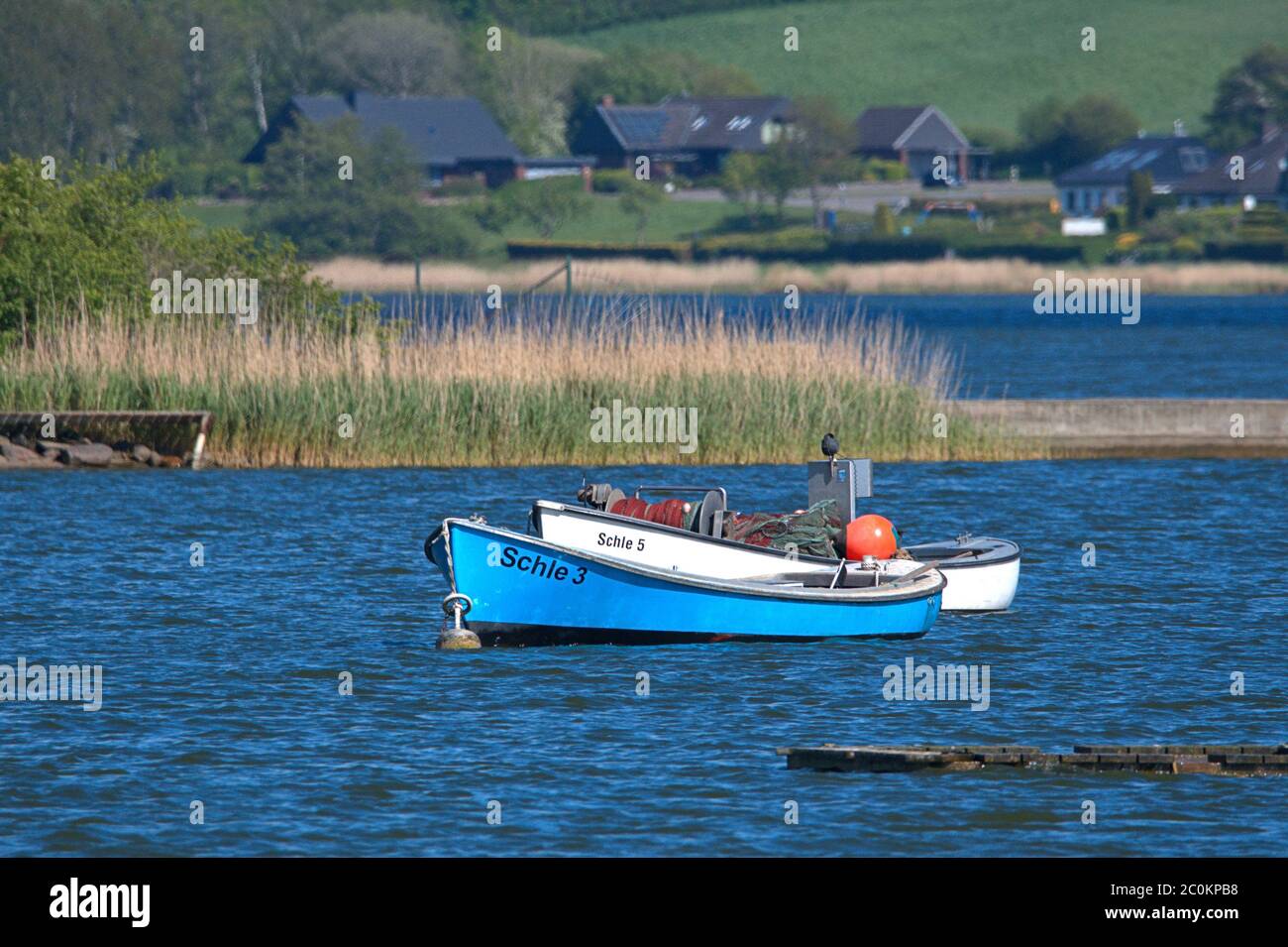 Schleswig, Deutschland. Mai 2020. 19.05.2020, Schleswig, liegen zwei Boote 'Schle 3' und 'Schle 5' der Fischer aus der Schleswig Holm mit Material vor den Bewohnern am Ufer der Schlei im Wasser. Quelle: dpa/Alamy Live News Stockfoto