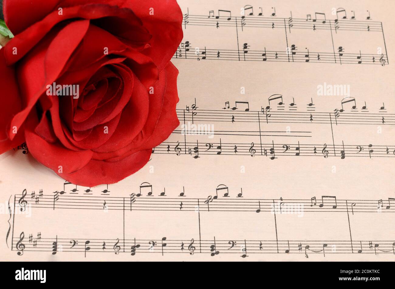 Die Rose auf Notebooks mit Noten Stockfoto