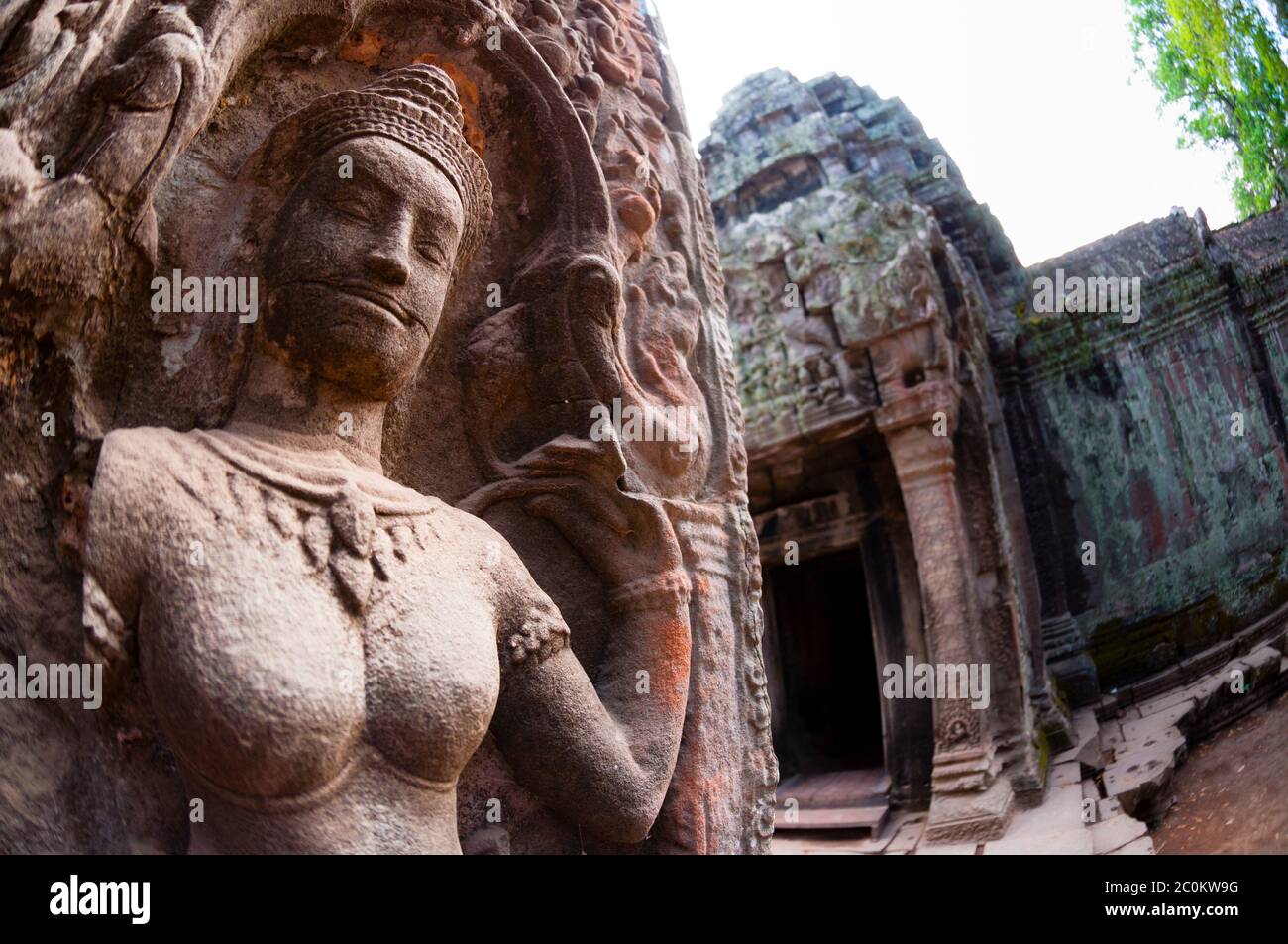 Nahaufnahme der Apsara Steinschnitt Stockfoto