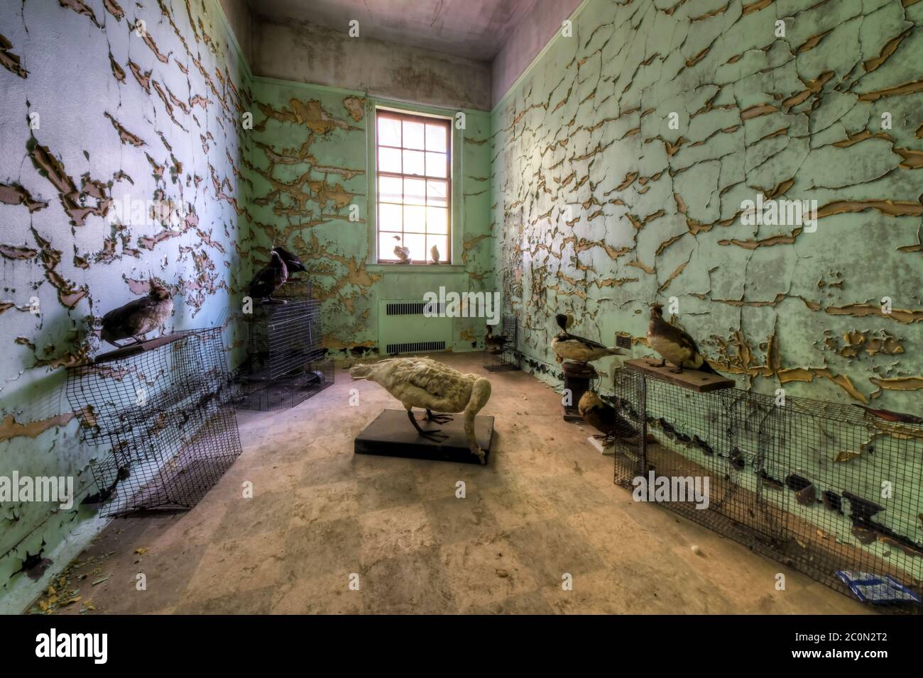 Das Zimmer eines verlassenen Krankenhauses Stockfoto