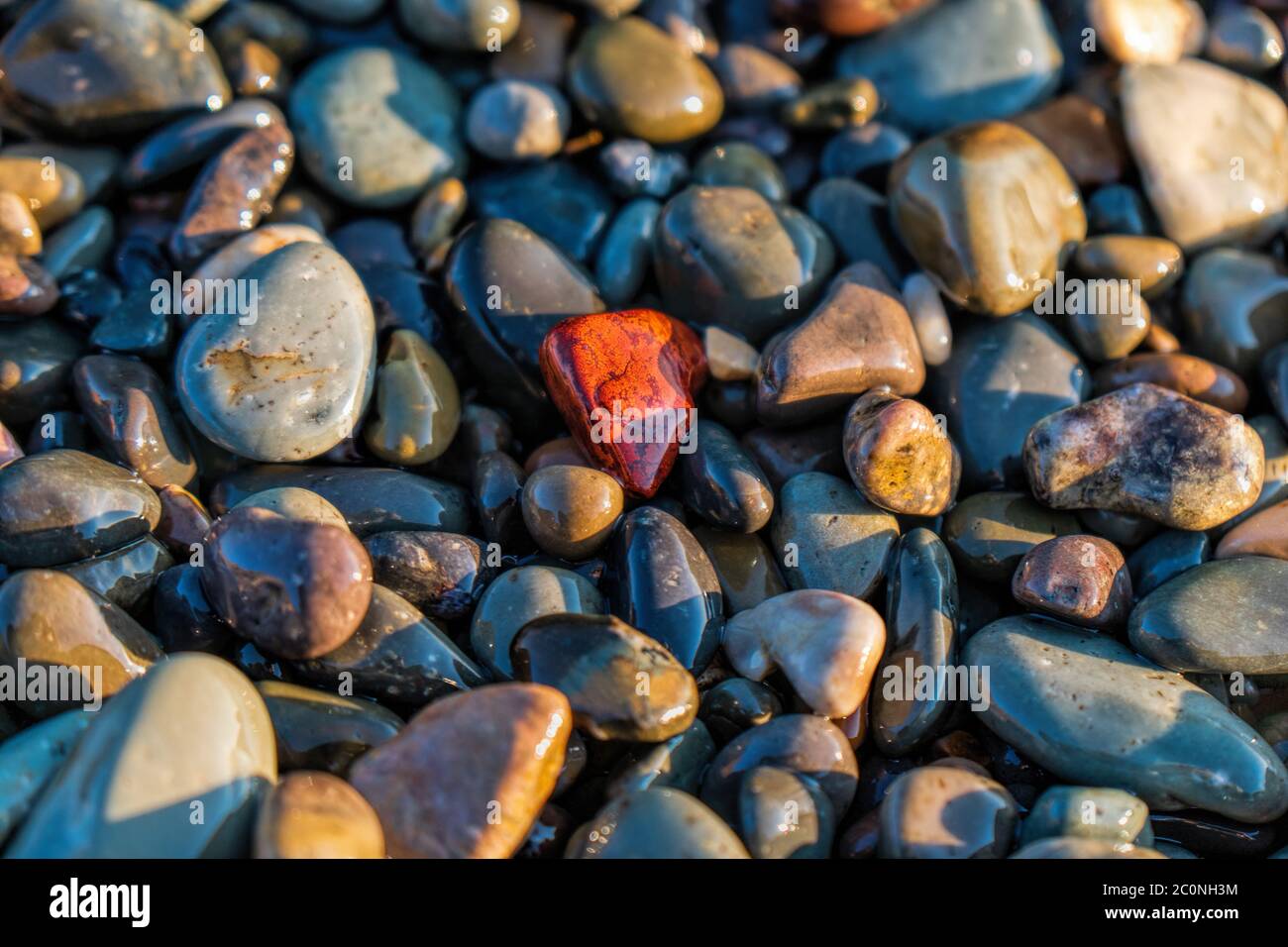 Jaspisstein am Strand mit bunten Steinen und Kieselsteinen. Klippe und felsige Meereslandschaft. Kap Fiolent, Krim, Schwarzes Meer. Stockfoto