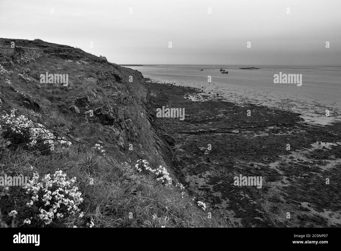 Der Hafen von Lindisfarne von Heugh Hill, Holy Island, Northumberland, England, Großbritannien. Schwarz-Weiß-Version. Stockfoto