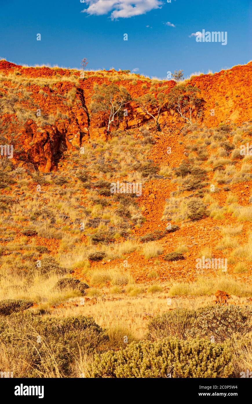 KARLAMILYI NATIONAL PARK, FRÜHER RUDALL RIVER NATIONAL PARK, REGION PILBARA, WESTERN AUSTRALIA, AUSTRALIEN Stockfoto