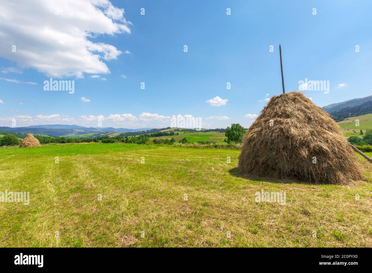 Verwittertes Heu auf dem Feld. Idyllische Landschaft an einem sonnigen Tag. Wunderbare ländliche Landschaft der karpaten Berge Stockfoto