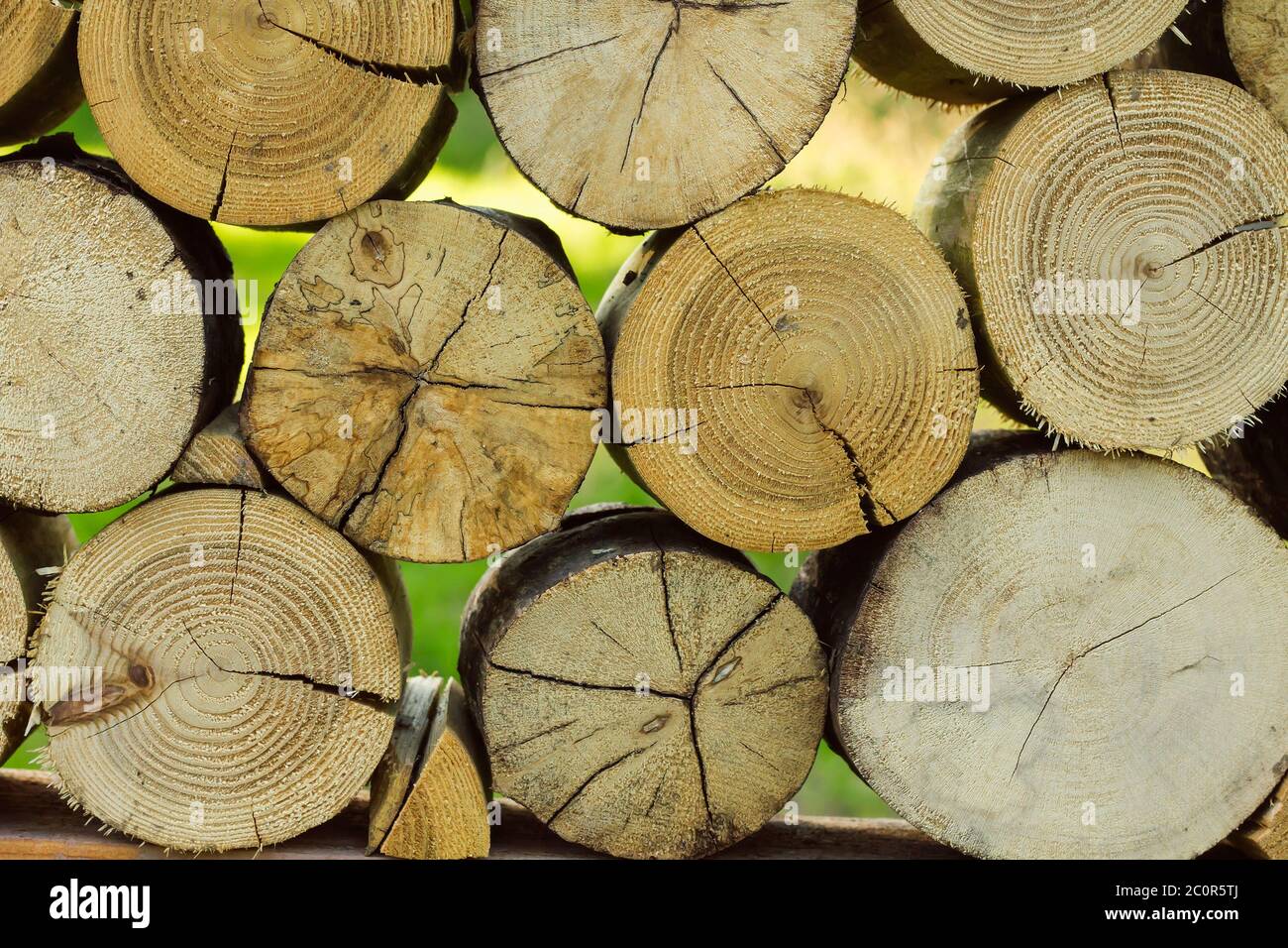 Stapel von abgehackten Holzstämmen Stockfoto