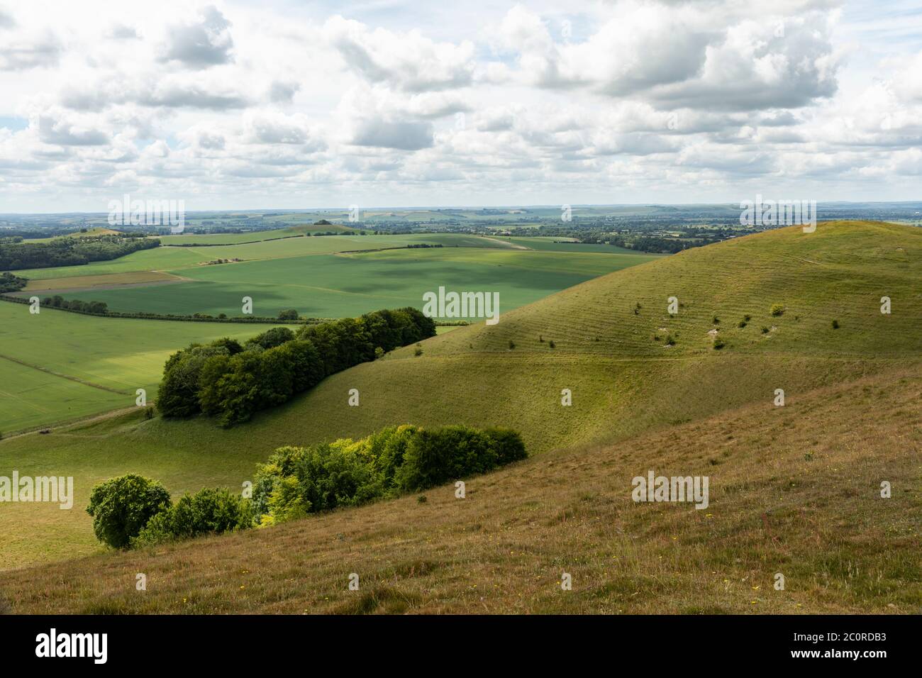 Blick vom Knap Hill auf die Pewsey Downs, Wiltshire, England, Großbritannien Stockfoto