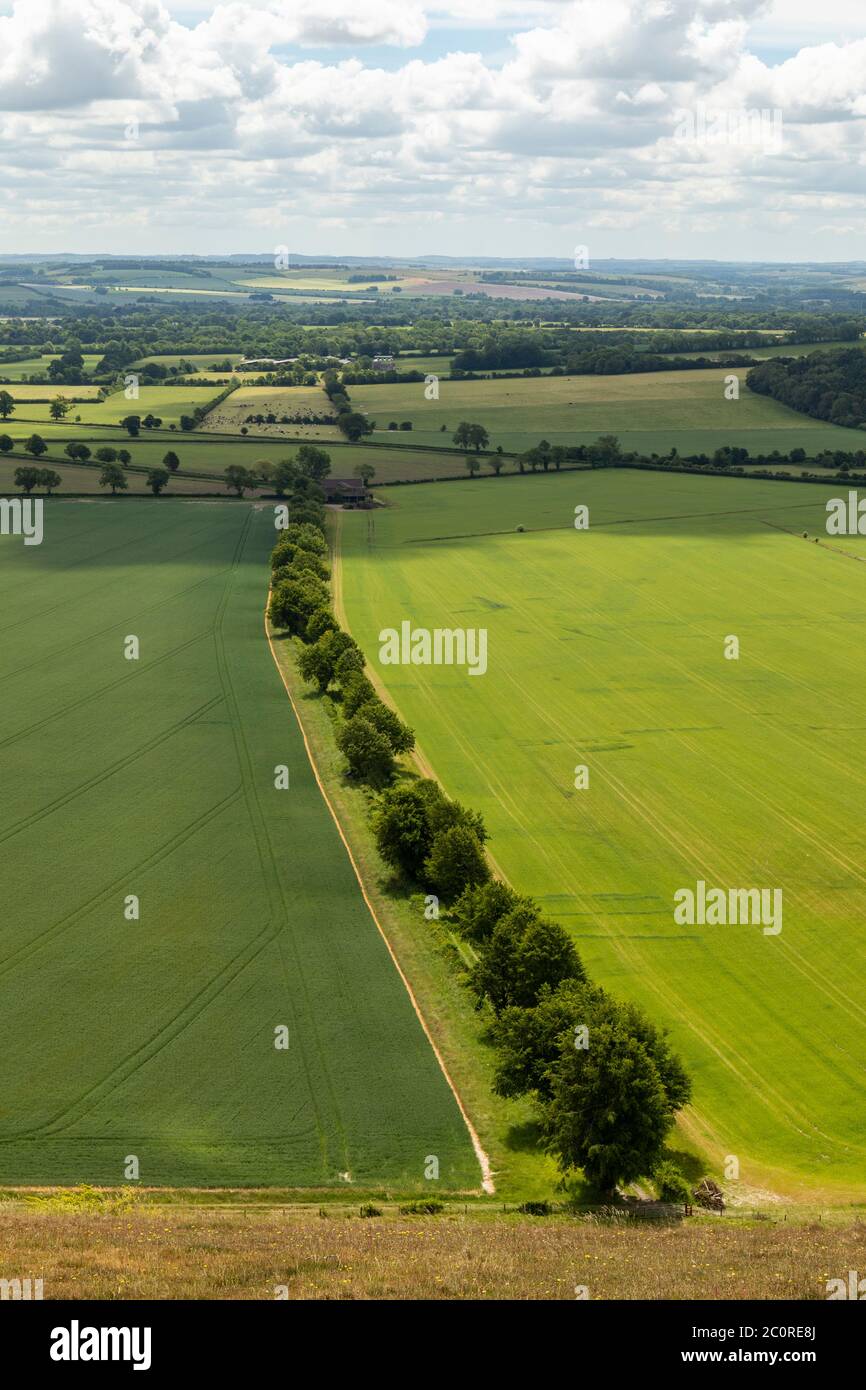 Blick vom Knap Hill auf die Pewsey Downs, Wiltshire, England, Großbritannien Stockfoto