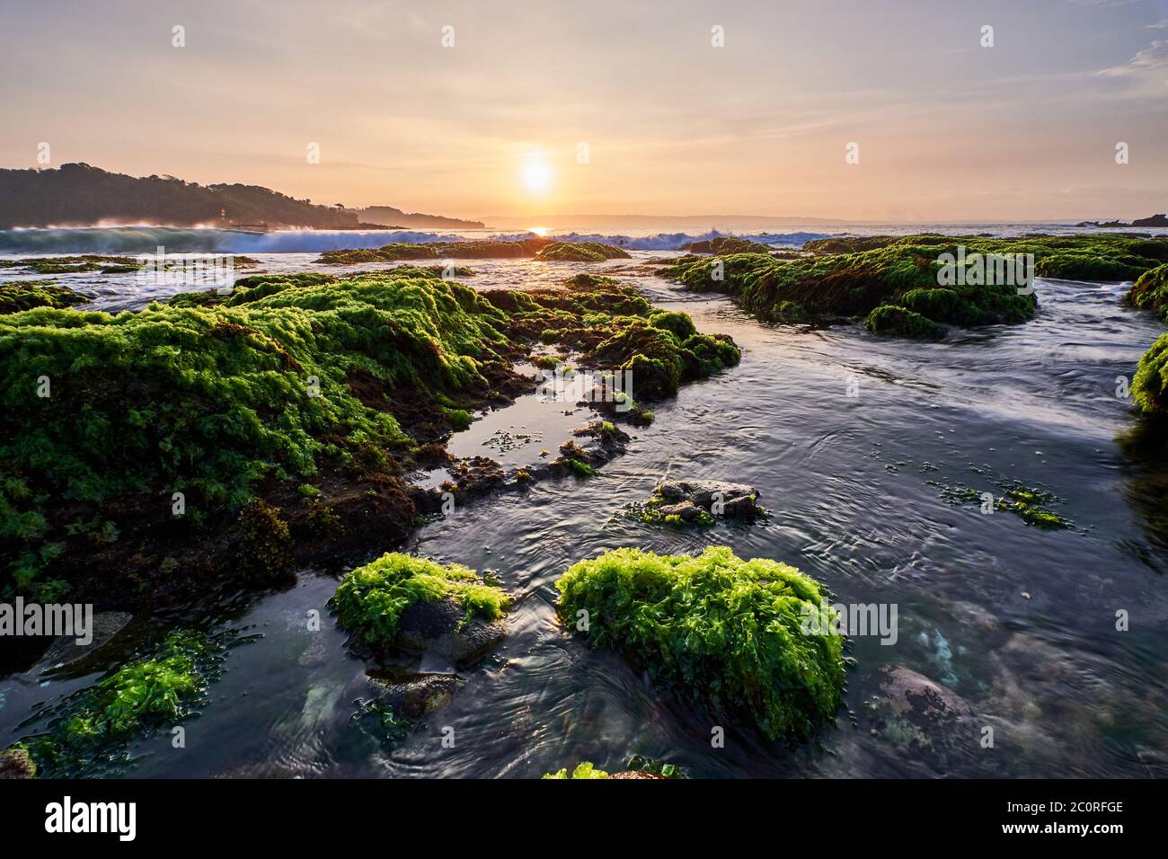 Blick von einem langen Winkel auf den sonnigen Morgen über einen felsigen Strand mit grünem Moos, South Banten, Indonesien Stockfoto