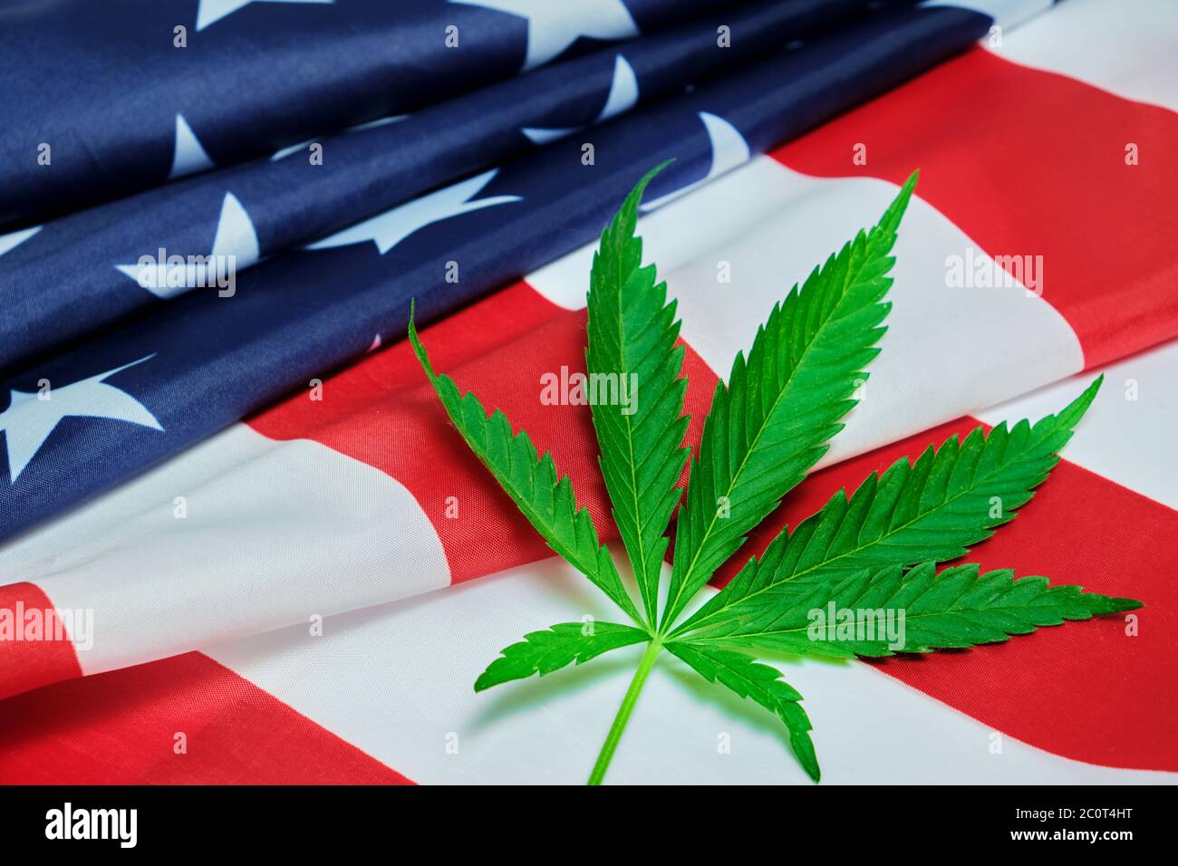 Grünes Hanfblatt auf sternenbespanntem Banner der Vereinigten Staaten von Amerika Stockfoto