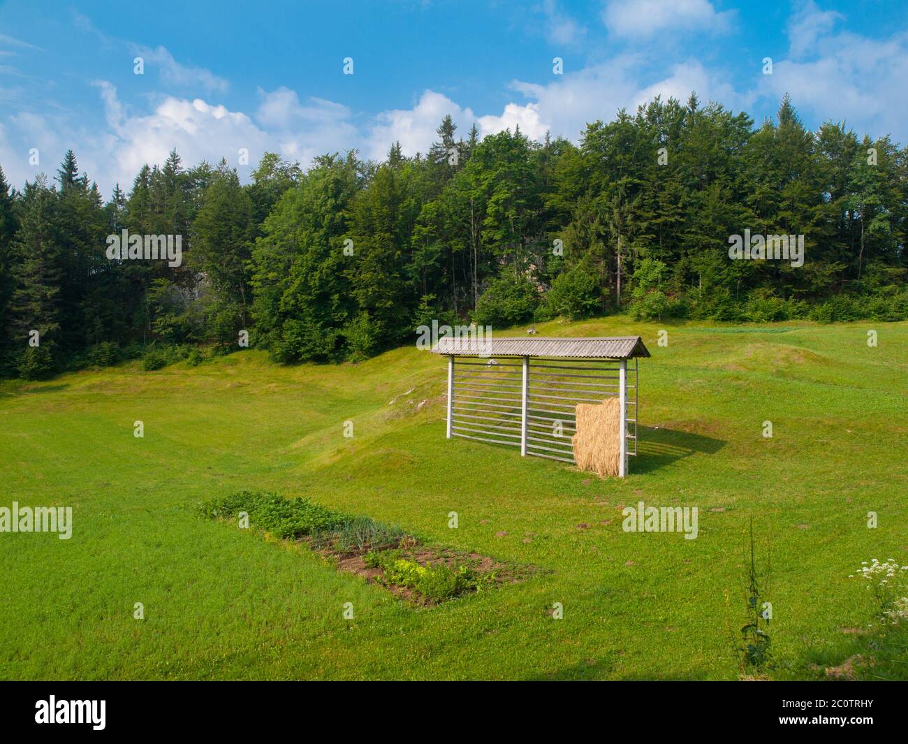 Heuhaufen mit trockenem Heu, der mitten auf einer kleinen Wiese steht. Wald und blauer Sommerhimmel im Hintergrund, Slowenien Stockfoto