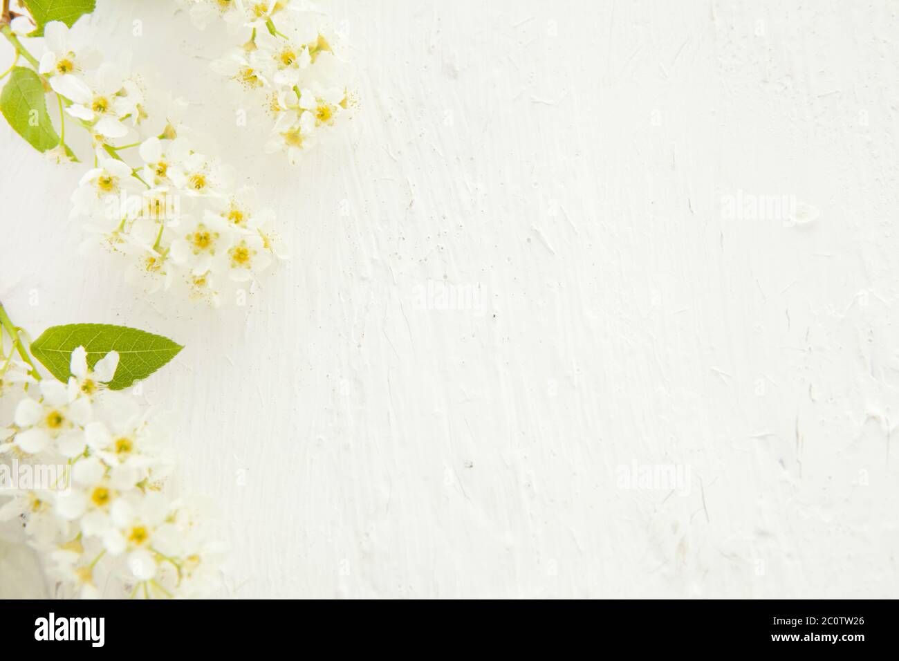 Schöne Pastell floralen Rand mit Vogelkirsche schön verschwommen Hintergrund -seichte Tiefenschärfe Stockfoto