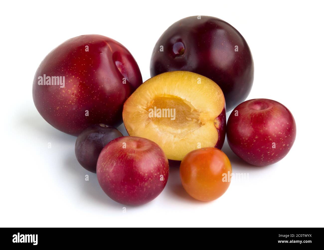 Gruppe von Pflaumen verschiedener Sorten isoliert auf weißem Hintergrund Stockfoto