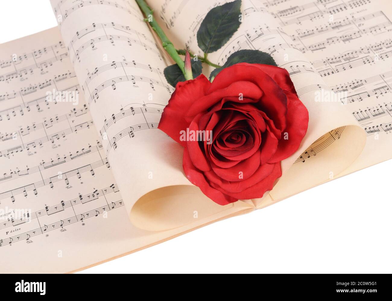 Die Rose auf Notebooks mit Noten Stockfoto