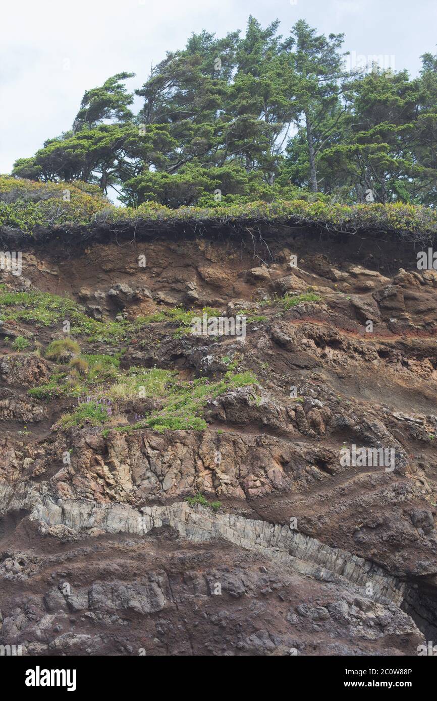 Proposal Rock in Neskowi, Oregon, USA. Stockfoto