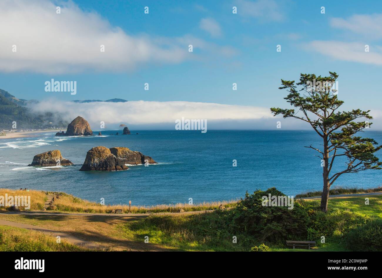 Landschaftlich schöner Blick auf Haystack Rock und Cannon Beach mit Nebel, der vom Ecola State Park in Oregon aus gesehen wird Stockfoto