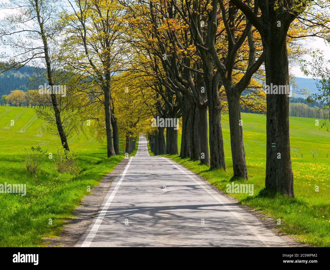 Schmale Straße mit Gasse am sonnigen Frühlingstag Stockfoto