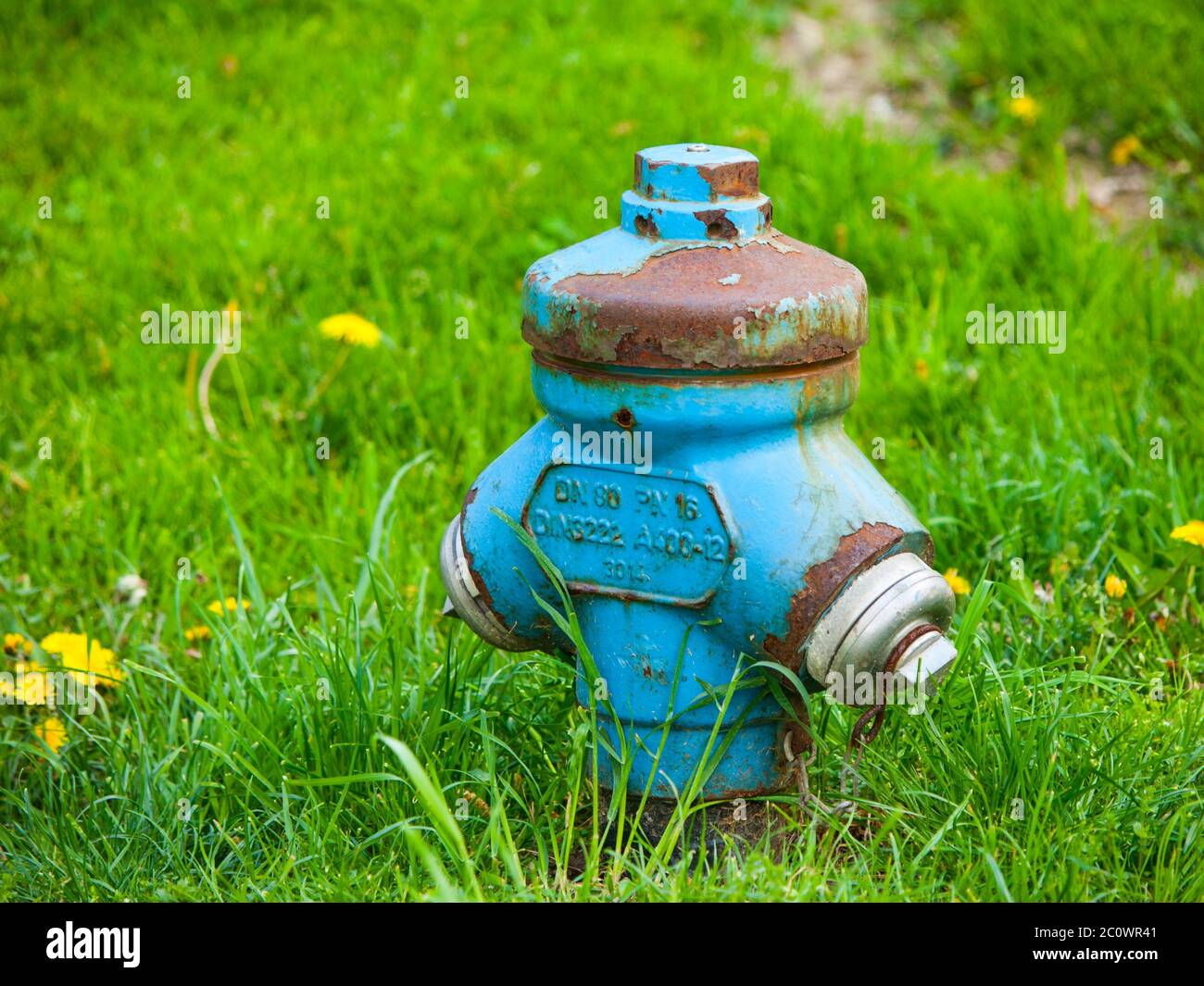 Blauer Metallhydrant mit rostigen Teilen im grünen Gras Stockfoto