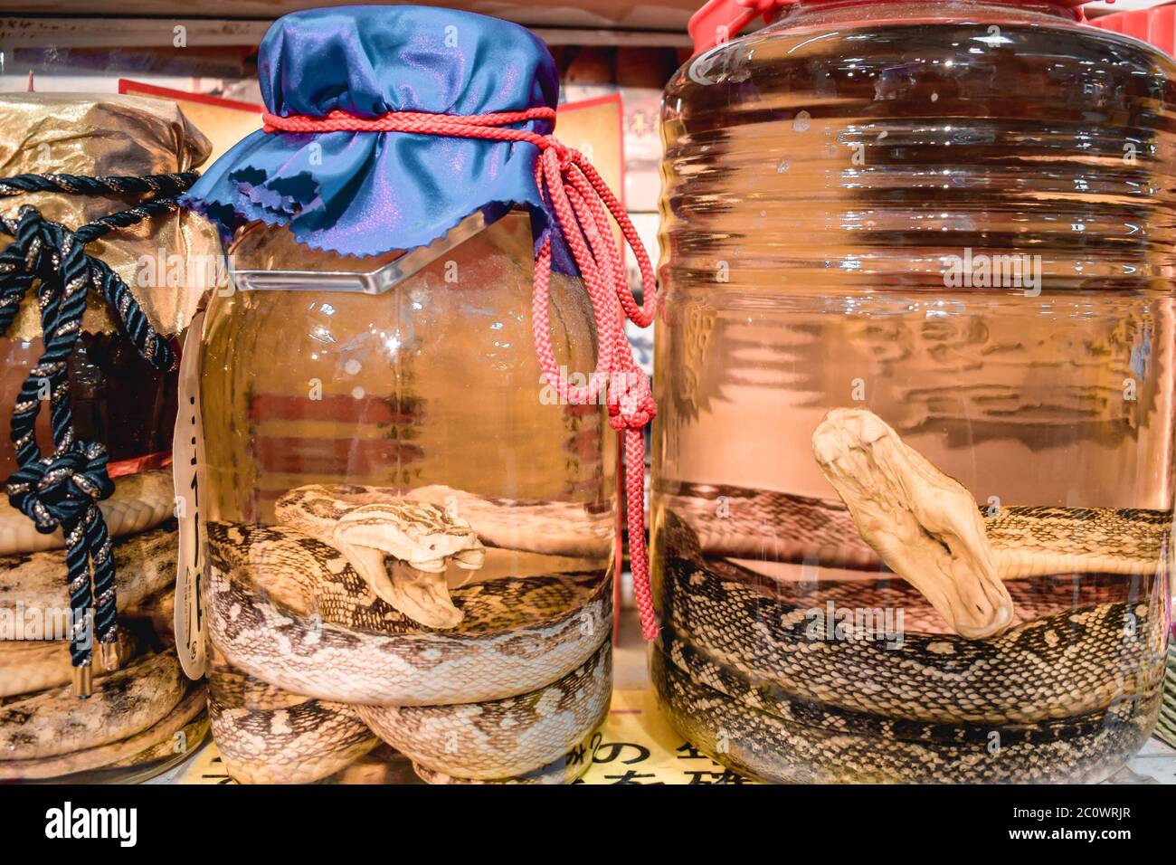 Gläser mit traditionellem japanischen Alkohol mit toten Schlangen im Inneren Stockfoto