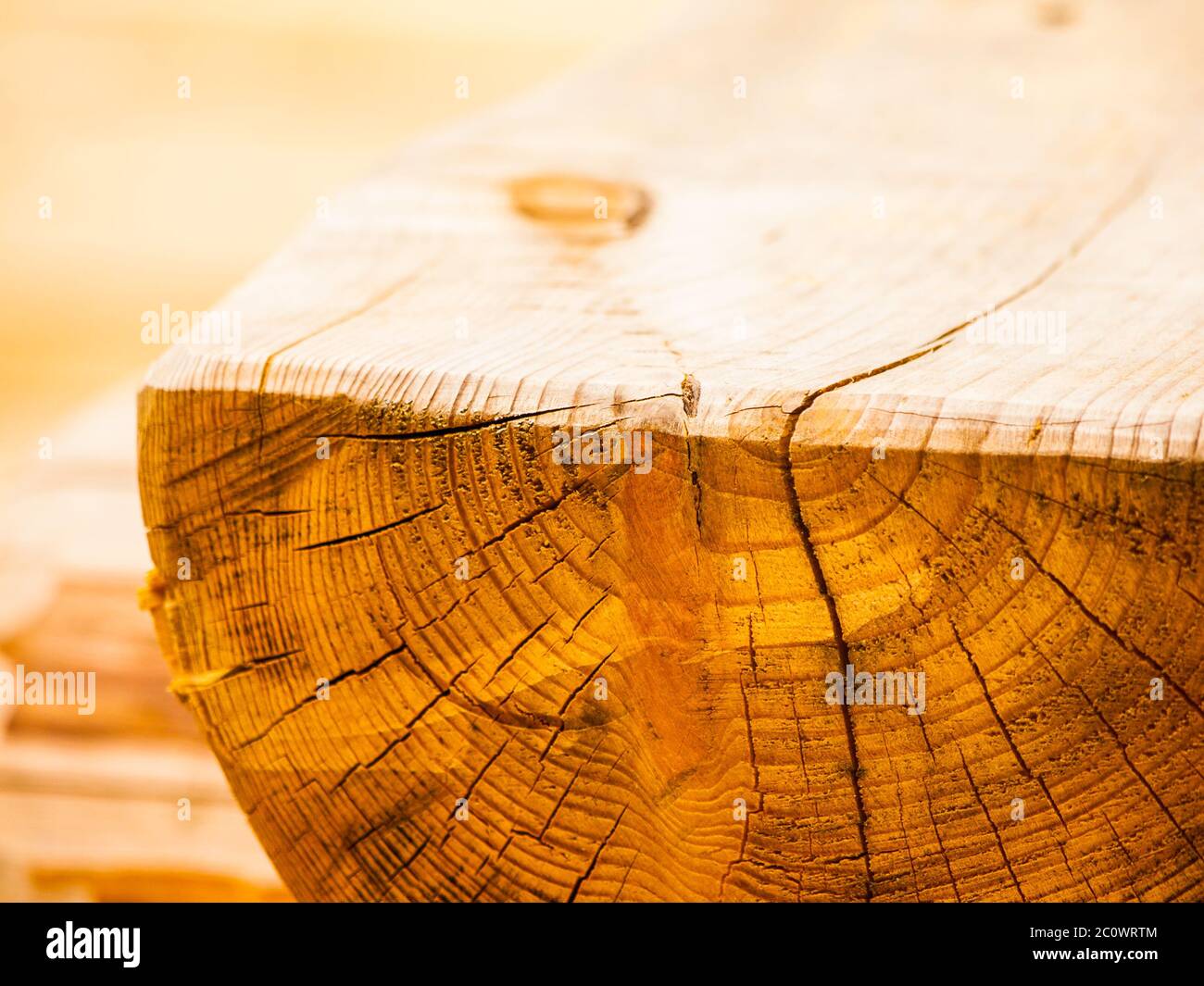 Stück verarbeitetes Holz. Schreinerei Hintergrund. Detailansicht mit Jahresringen. Stockfoto