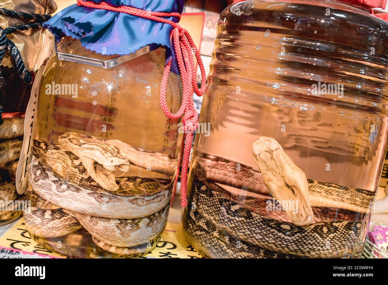 Okinawan traditionelles alkoholisches Getränk mit giftiger Schlange Habu im Inneren Stockfoto