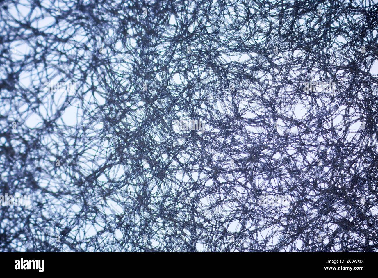 Papier unter dem mikroskop -Fotos und -Bildmaterial in hoher Auflösung –  Alamy