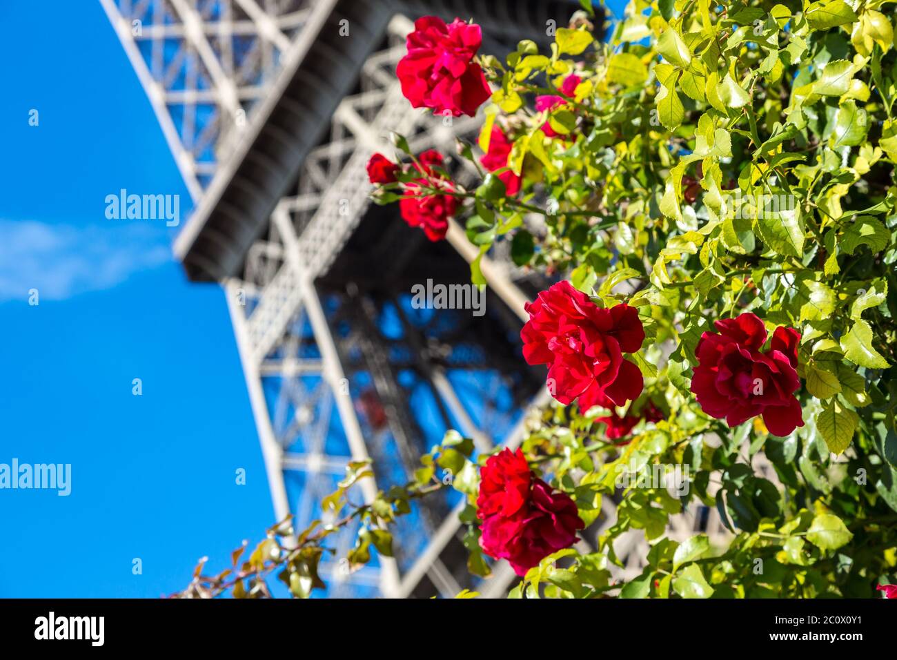 Der Eiffelturm in Paris Stockfoto