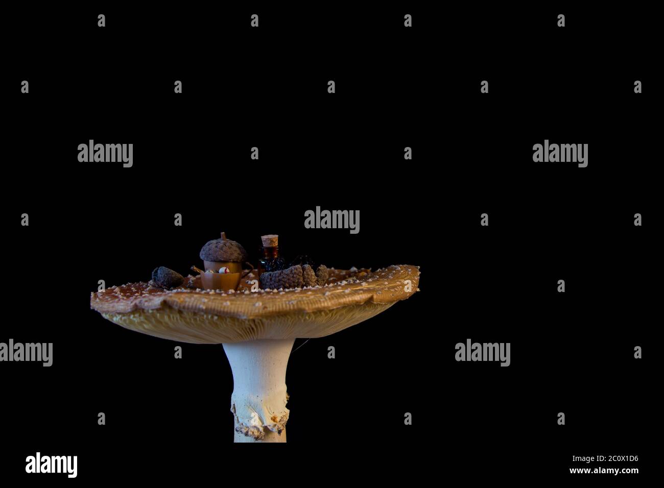 Fliegenpilz (Amanita muscaria) Tisch mit Miniatur-Tee-Set auf schwarzem Hintergrund Stockfoto