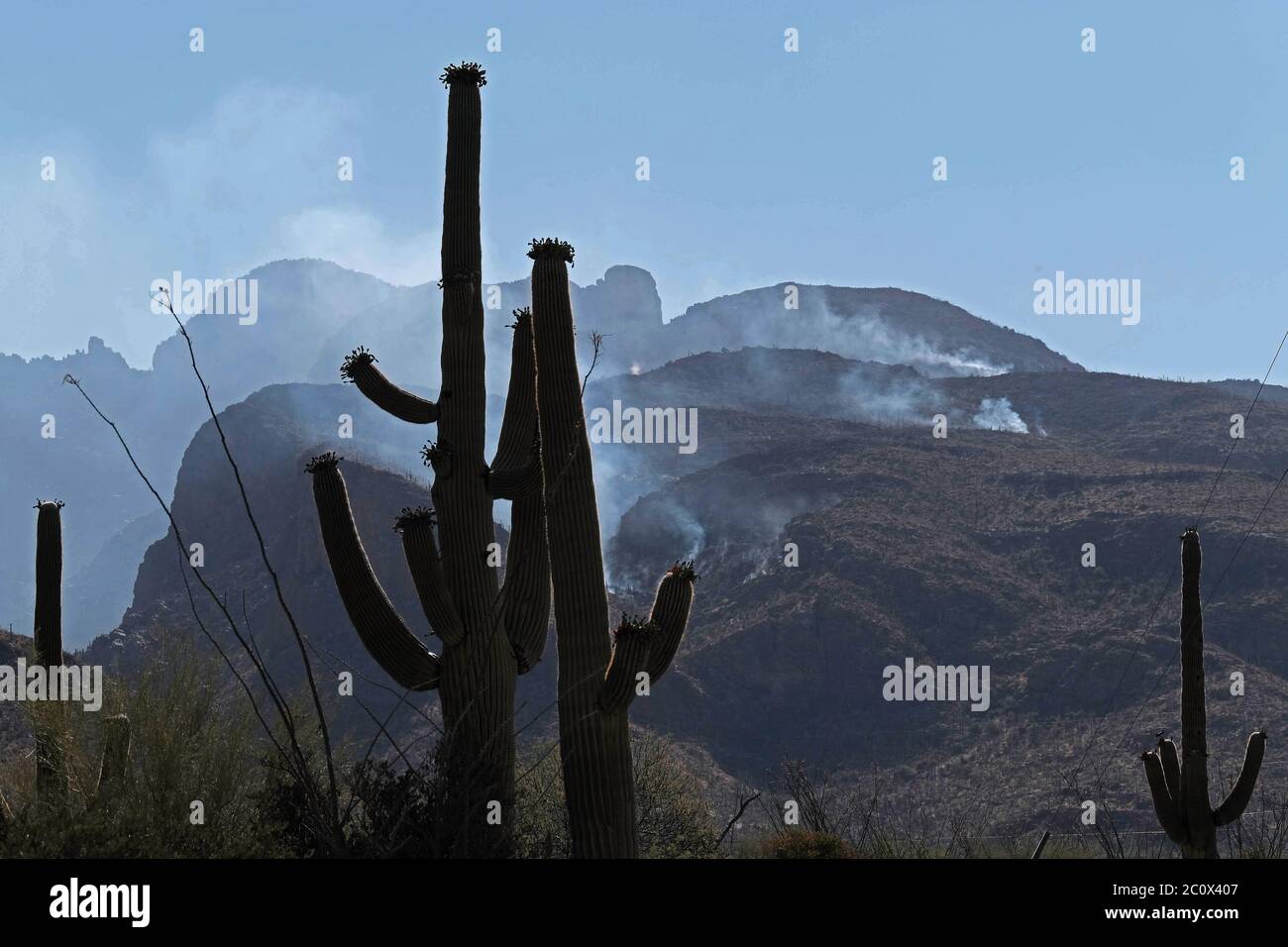 Tucson, Arizona, USA. Juni 2020. Das Feuer des Großen Horns in den Bergen von Catalina. Etwa 400 Häuser wurden in diesem Abschnitt von Tucson evakuiert, als das Feuer auf über 6000 Hektar anwuchs. Kredit: Christopher Brown/ZUMA Wire/Alamy Live Nachrichten Stockfoto