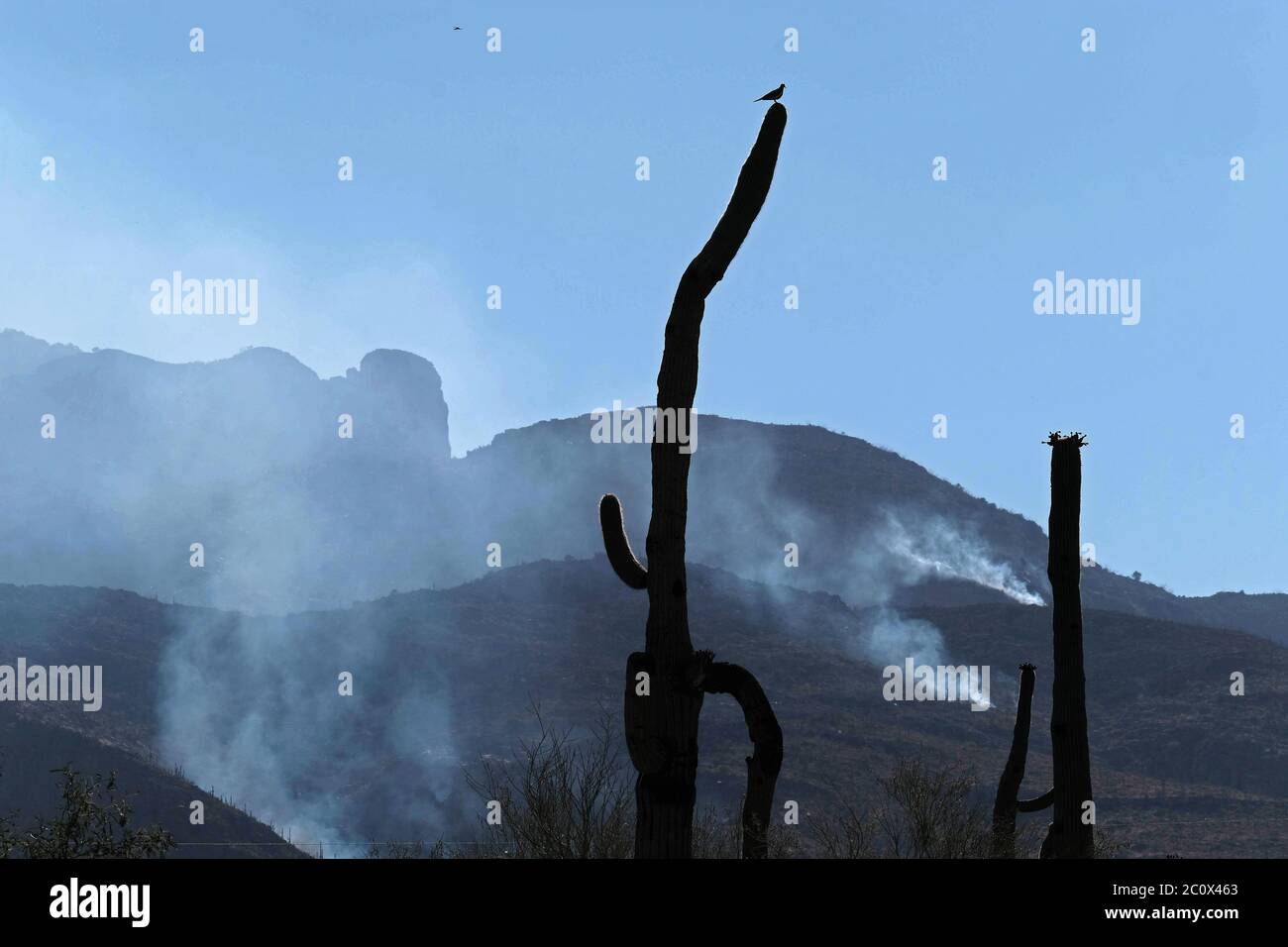 Tucson, Arizona, USA. Juni 2020. Das Feuer des Großen Horns in den Bergen von Catalina. Etwa 400 Häuser wurden in diesem Abschnitt von Tucson evakuiert, als das Feuer auf über 6000 Hektar anwuchs. Kredit: Christopher Brown/ZUMA Wire/Alamy Live Nachrichten Stockfoto