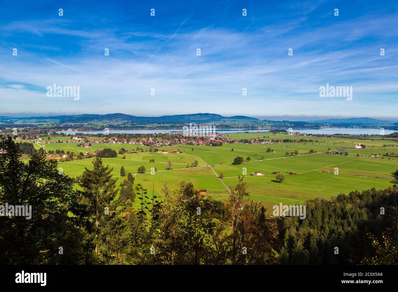 Grüne Felder neben Neuschwanstein Stockfoto