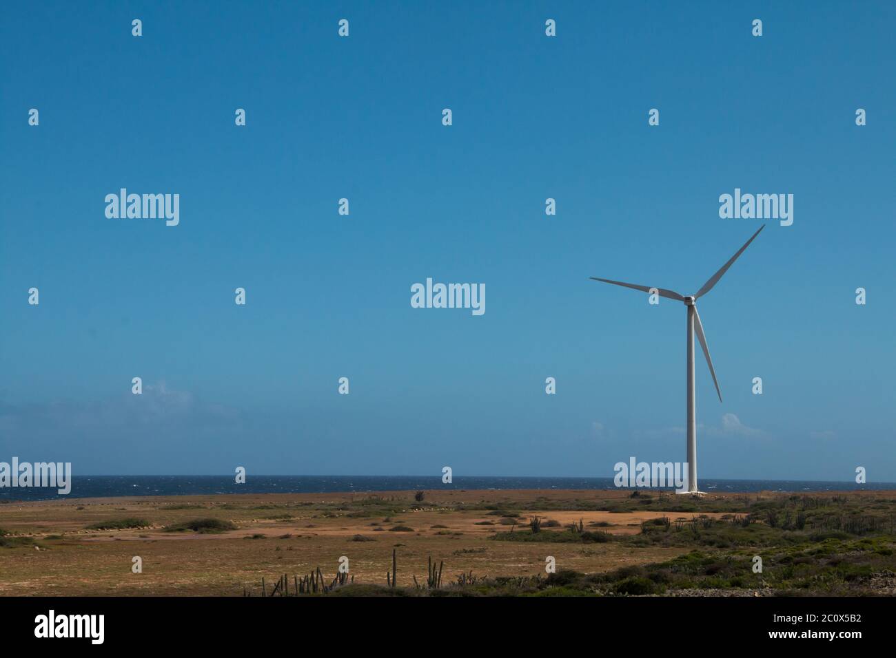 Windturbine im Arikok National Park, Aruba Stockfoto