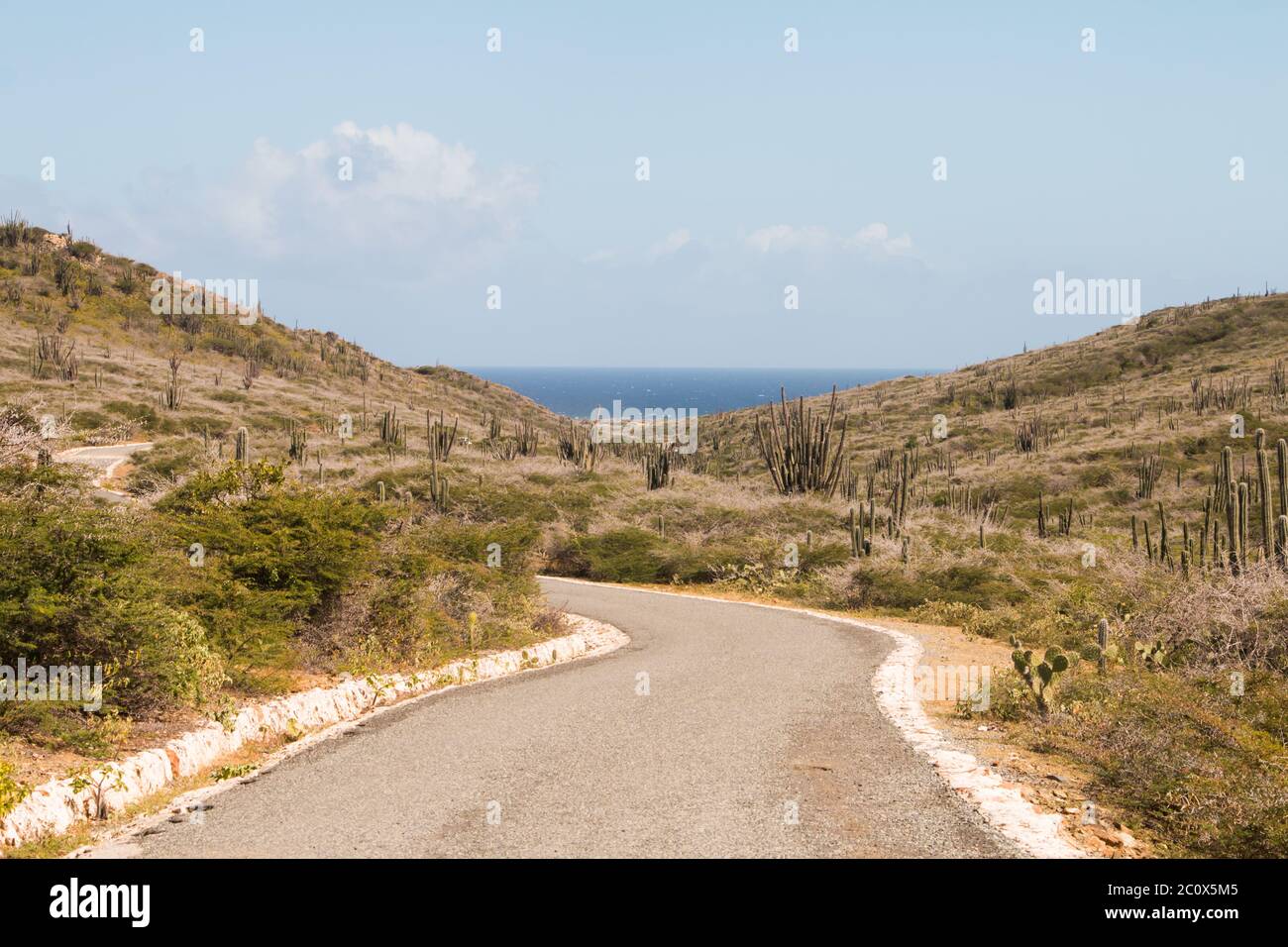 Straße, die durch den Arikok National Park, Aruba, führt Stockfoto