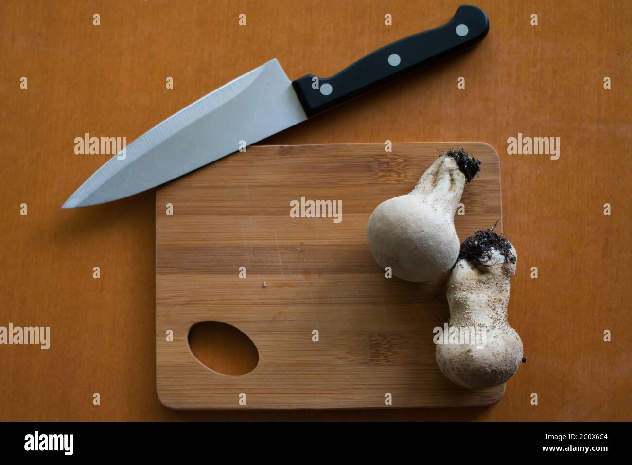 Draufsicht auf zwei Kugelpilze auf einem Bambus-Schneidebrett mit Messer auf Holztisch Stockfoto
