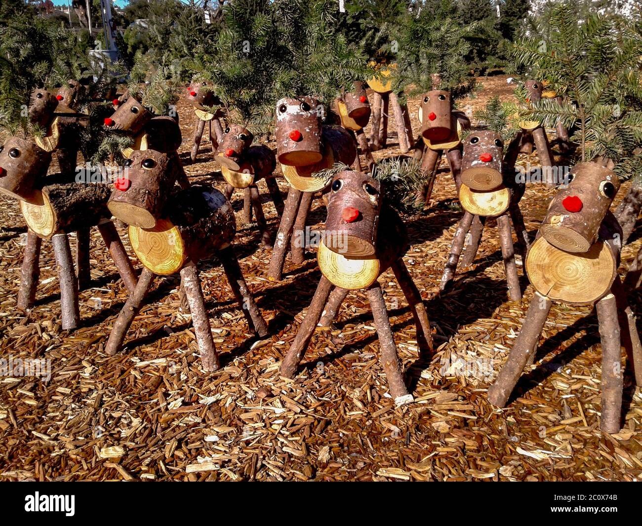 Holzmodelle von Rudolph dem Rotnasenrentier aus gesägten Baumstämmen sind zur Weihnachtszeit in Laguna Niguel, CA, zum Verkauf. Stockfoto