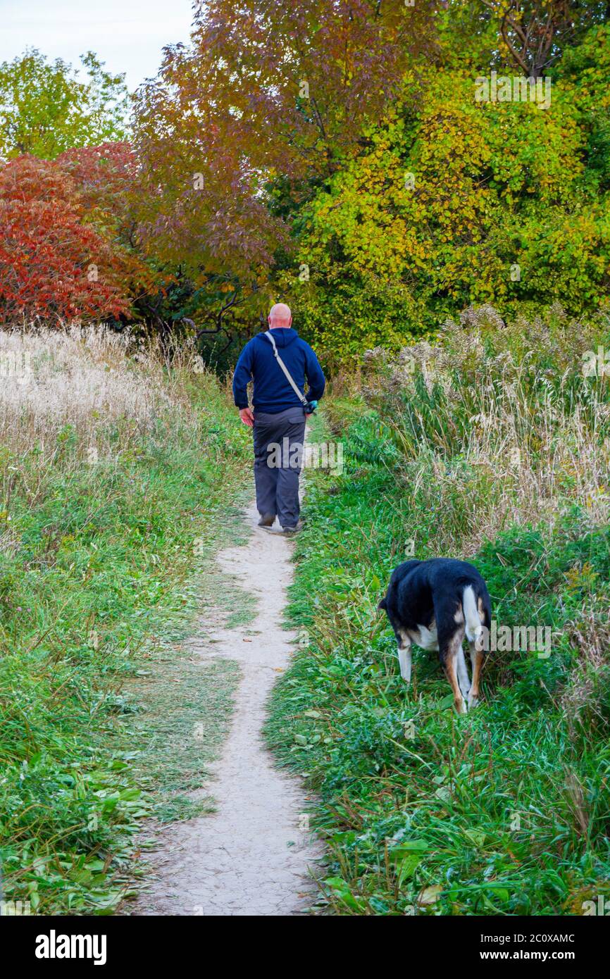 Scarborough Bluff, Toronto, Kanada, Oktober 2016 - EIN Mann, der seinen Hund durch eine Spur in der Natur, umgeben von Herbstfarben, führt. Stockfoto